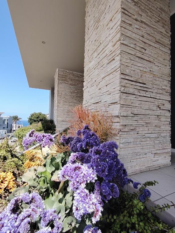 Commercial Property for Sale in Plettenberg Bay Central Western Cape